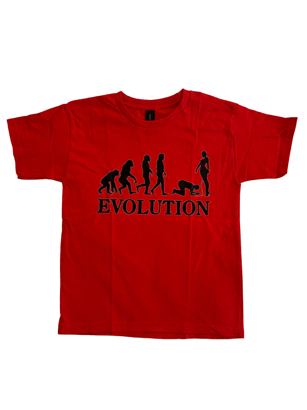 Evolution Baby Tee