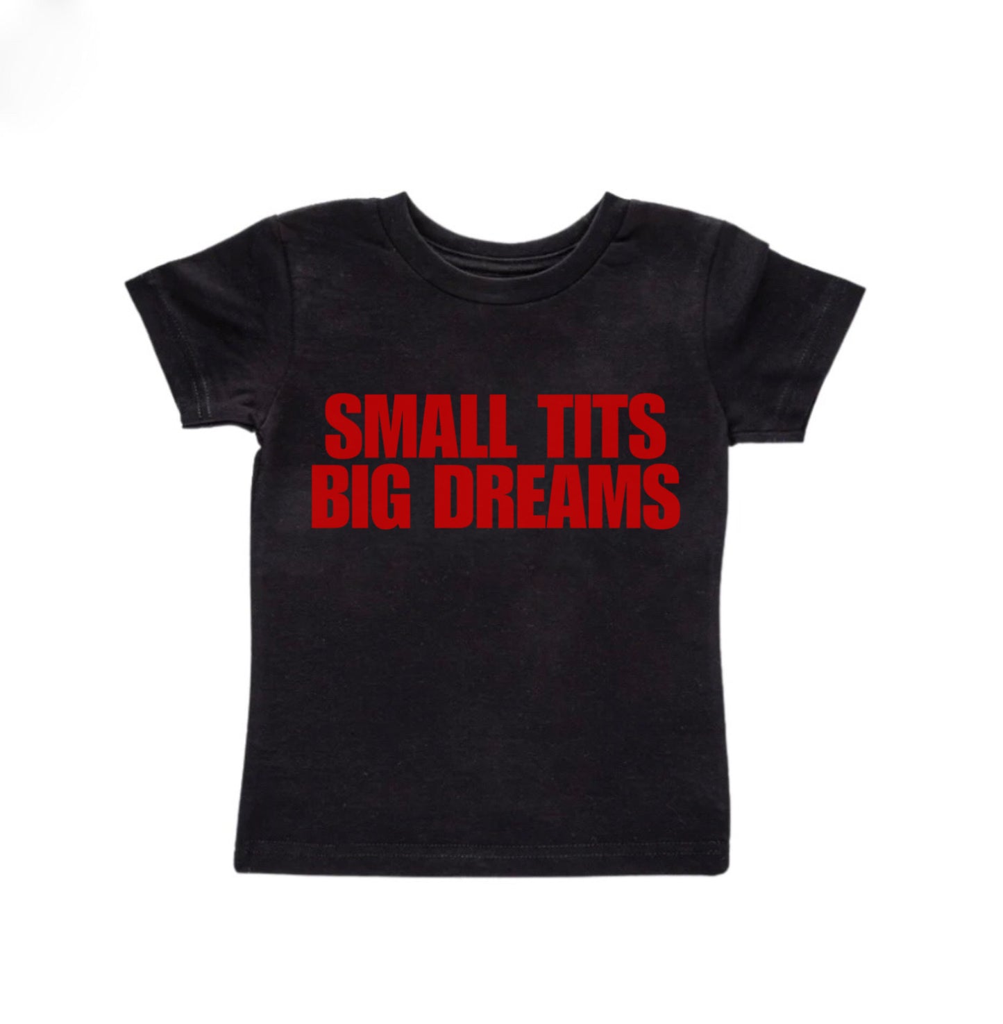 Small Tits Big Dreams Baby Tee