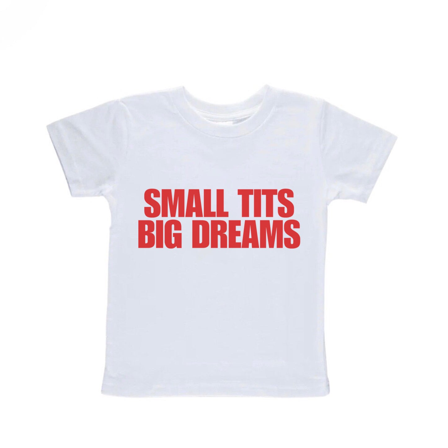 Small Tits Big Dreams Baby Tee