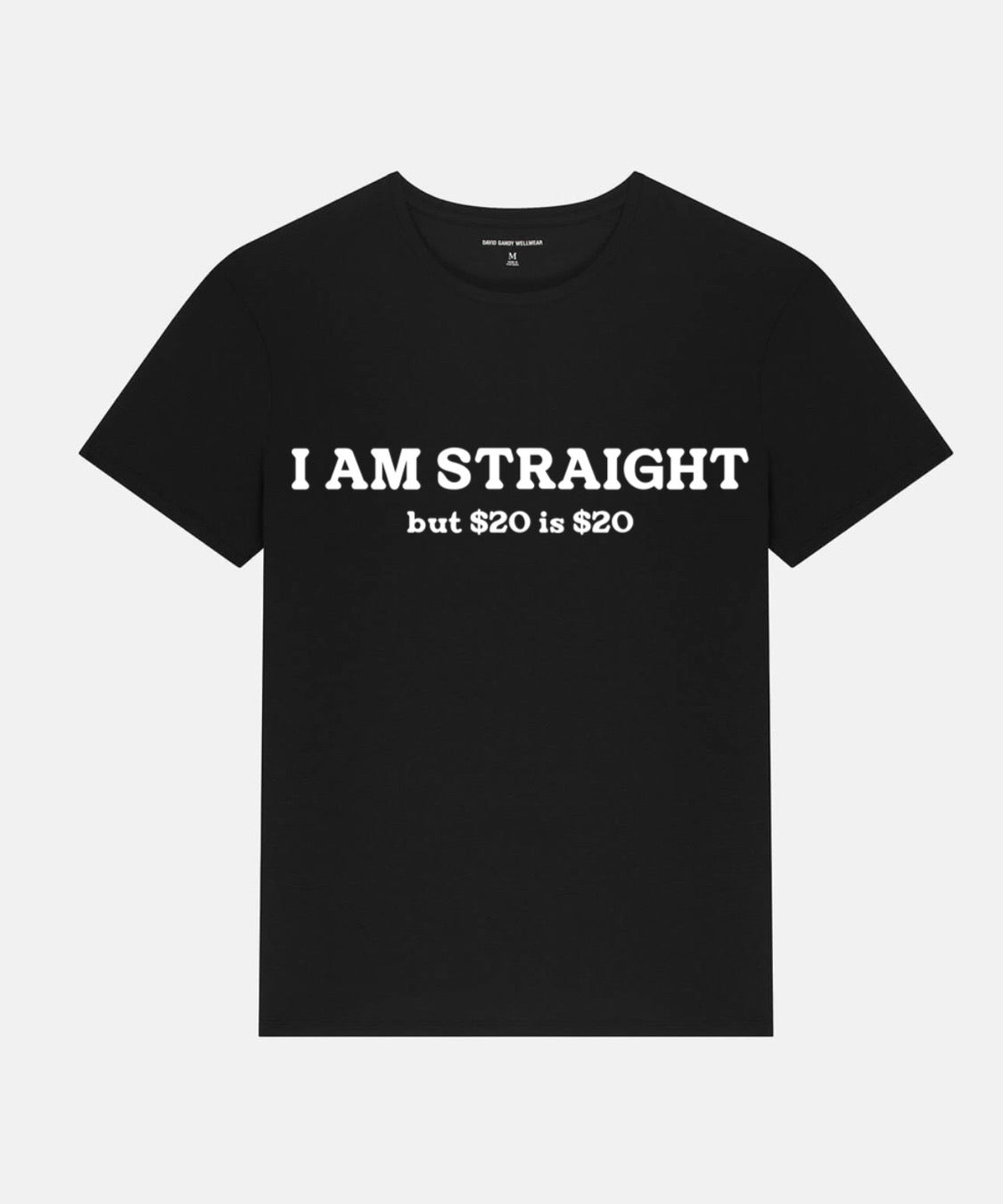 I Am Straight But $20 is $20 Tee
